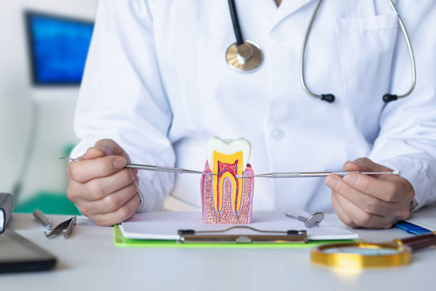Best Urgent Tooth Repair  in Canton, SD